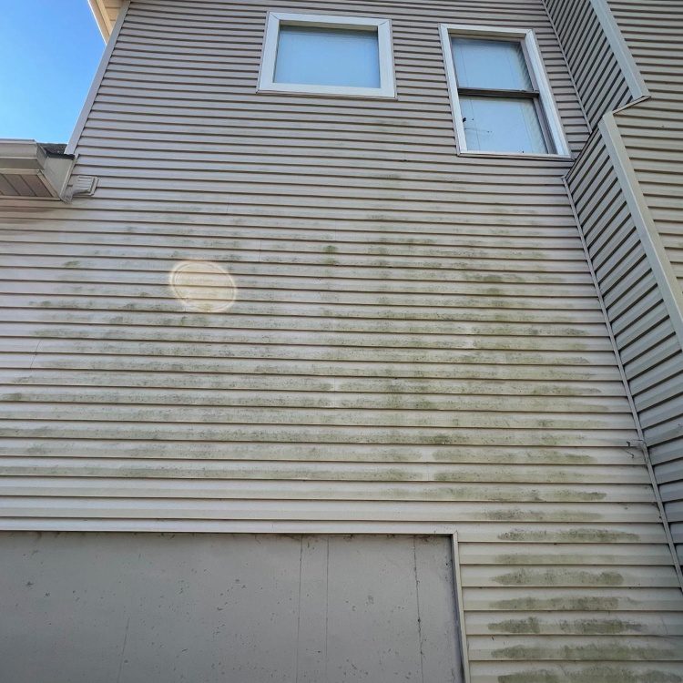 Exterior Cleaning